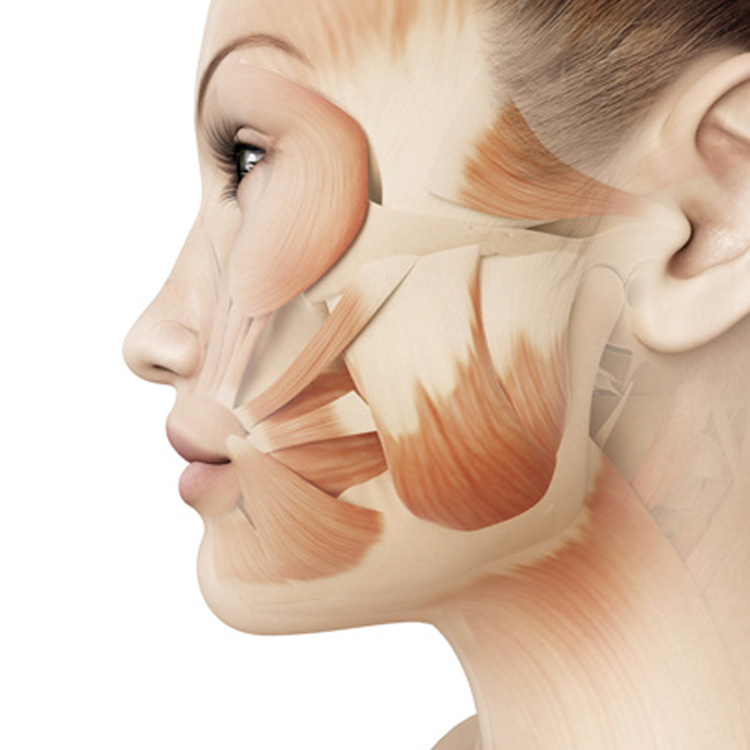 corso massaggio 3D face | Beauty Fashion Group